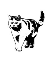 Silhouette cat vector