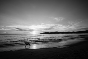 Sunset Beach Black White