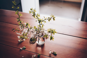 Weiße Blüten im Glas auf einem Kirschholz Tisch