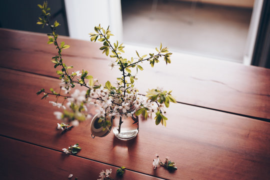 Wei&szlig;e Bl&uuml;ten im Glas auf einem Kirschholz Tisch
