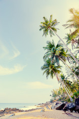 Fototapeta na wymiar Sunny day on the tropical beach with coconut palm trees.