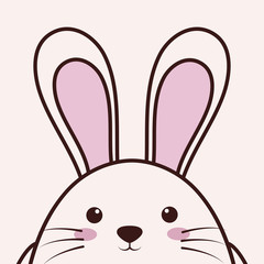 kawaii rabbit animal icon . colorful design. vector illustration