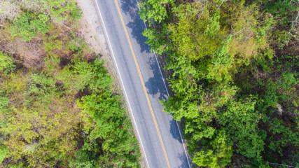 Aerial view of the road through forest.
