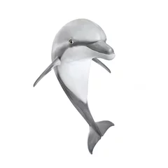 Papier Peint photo Dauphin Grand dauphin sautant - Tursiops Truncatus. Vie marine isolée sur fond blanc.