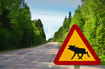 Achtung Elch - Wildwechsel Warnschild in Schweden