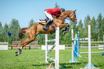 The rider on the red show jumper horse overcome high obstacles in the arena for show jumping on...