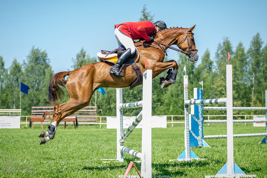 The rider on the red show jumper horse overcome high obstacles in the arena for show jumping on background blue sky