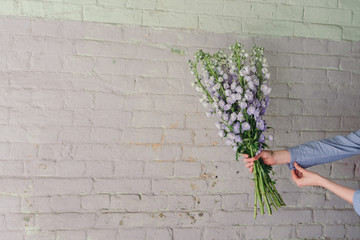 Bunch of fresh delphinium flowers in hand against old brick wall. Floral background with free space for text