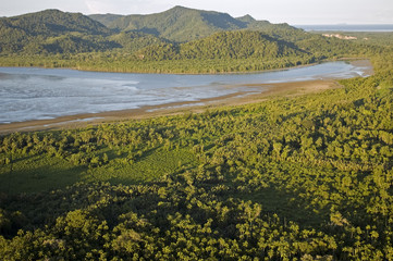 Fototapeta na wymiar Aerial view of lowland rainforests of Bako National Park, Sarawak Borneo Malaysia.