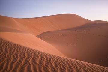 Fototapeta na wymiar Desert Dunes in Sahara after Sunset