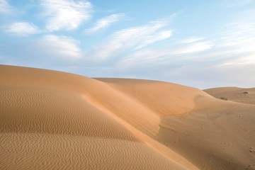 Fototapeta na wymiar Desert Dunes in the Evening