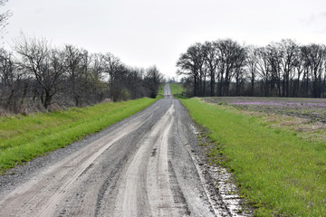 Fototapeta na wymiar The Muddy Gravel Road