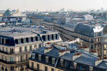View of the roofs of Paris.