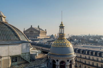 View of the roofs of Paris.