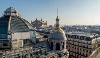 View of the roofs of Paris.