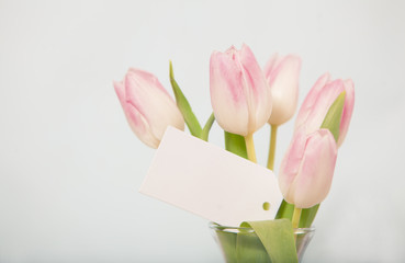 Flowers with Blank Card