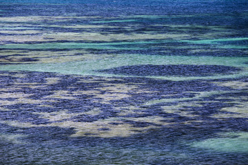 Sea grass beds along Foça coast İzmir Turkey