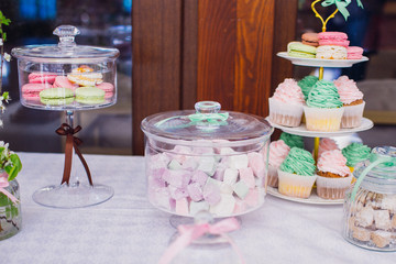 The sweety cakes standing on the candybar