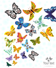 Fototapeta premium Set of colorful butterflies