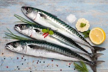 Türaufkleber mackerel © hiphoto39
