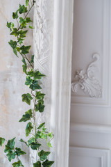 Fototapeta na wymiar White art stucco gypsum wall with a grean loach branch on it