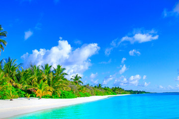 Naklejka premium Dreamscape Escape On Maldives