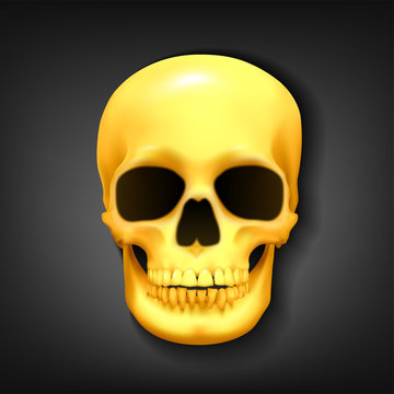 Realistic golden skull head on dark background, Vector Illustration