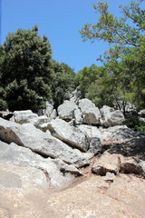 Santuari de Santa Maria de Lluc