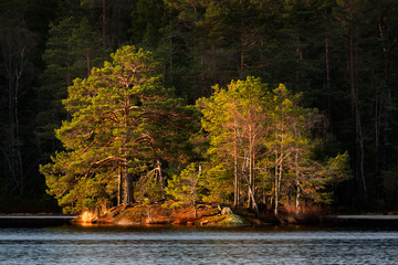 The small island separated by shallow passage from coast of lake.