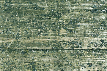 Grungy wooden borad surface with moss.