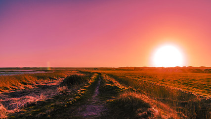 Naklejka premium Sonnenuntergand in Vejlby Klit, Dänemark