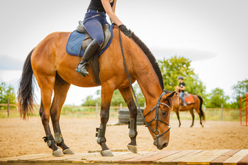 Jockey girl doing horse riding on countryside meadow