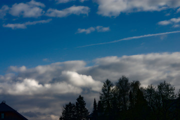 Blauer Himmel mit Bäumenspitzen