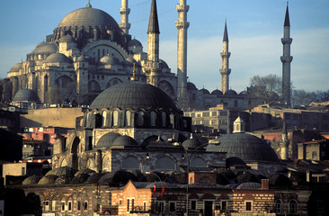 Fototapeta na wymiar Suleiman Mosque in Istanbul