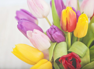 Colorful Fresh Flowers