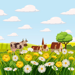 Fresh spring landscape, farm, cows, fields, meadows, daisies and dandelions, grass, greeting, isolated, Cartoon style, vector illustration