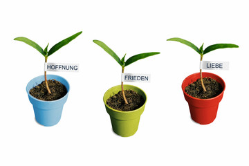 Ein Baum beginnt zu wachsen, kleine Pflanzen