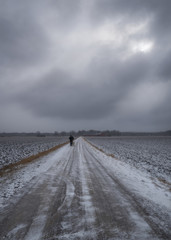 Fototapeta premium The Walk