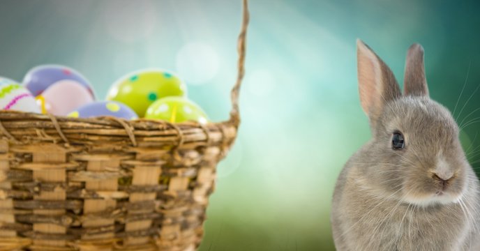 Easter Rabbit with eggs basket in front of nature background