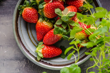 Strawberries fresh pick up