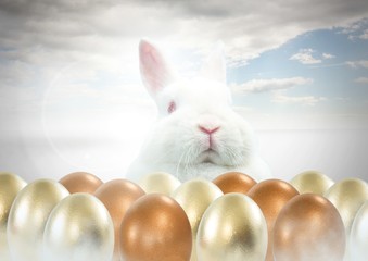 Easter rabbit with gold eggs in front of blue sky