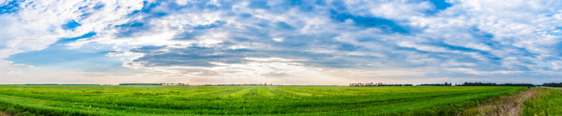 A panoramic field view