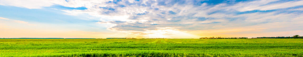 A panoramic field view