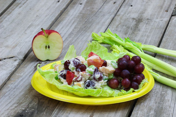 Healthy chicken salad on yellow picnic plate with celery and apples in background