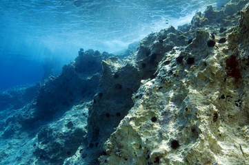 Urchin barrens in littoral zone of coastline in Kas Antalya Turkey. Urchins predation prevents algea cover to grow.