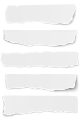 Set of elongated tattered paper scraps isolated on white background
