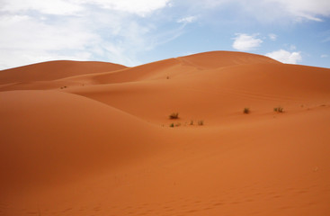 Fototapeta na wymiar Desert at Merzouga, eastern Morocco