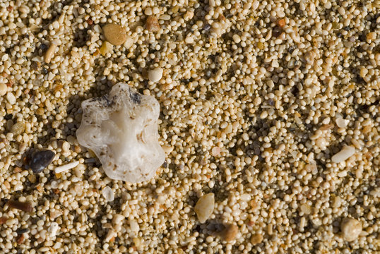 Close up details of oolitic sand in Cleopatra Beach, Sedir Island, Gokova Bay, Marmaris Turkey.