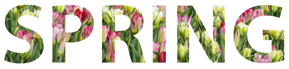 spring text from flowers