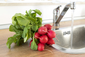A bunch of washed red radish on the background of a kitchen sink. Fresh washed red radish ready to eat